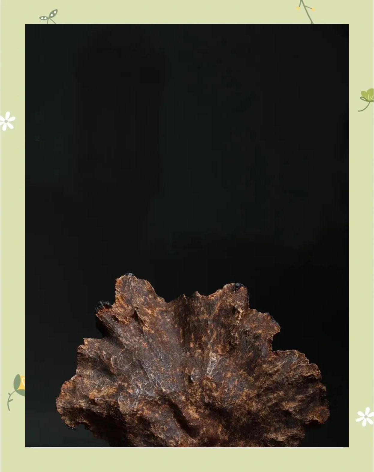 海南天然高油量沉香原料沉香沉香海南,广东,香港