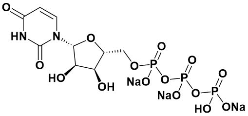 假尿苷PseudouridineCAS号1445-07-4柯莱生物原料药API视频