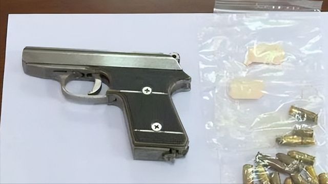 黑社会老大聂磊真实结局