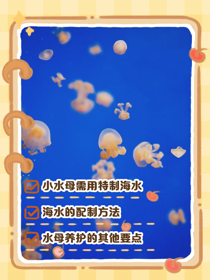2025年9月7日 第13页