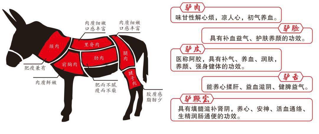 驴肉什么部位最好吃?