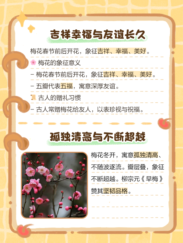梅花啥寓意