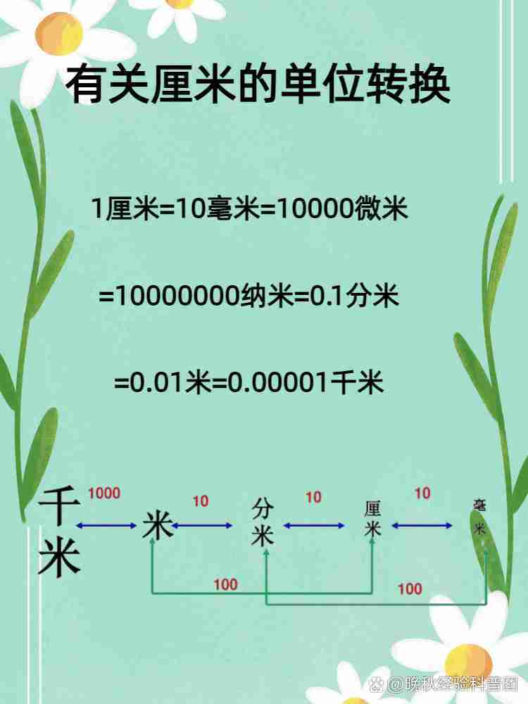 一英尺一米