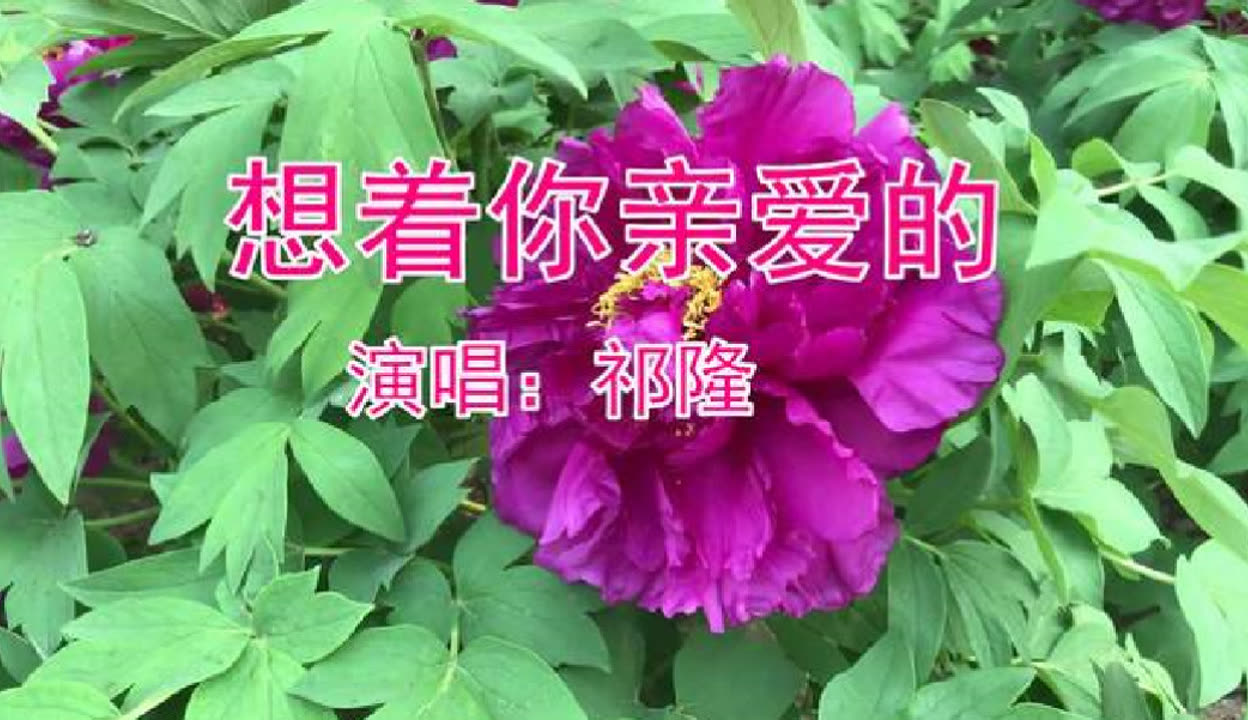 想着你亲爱的原唱dj