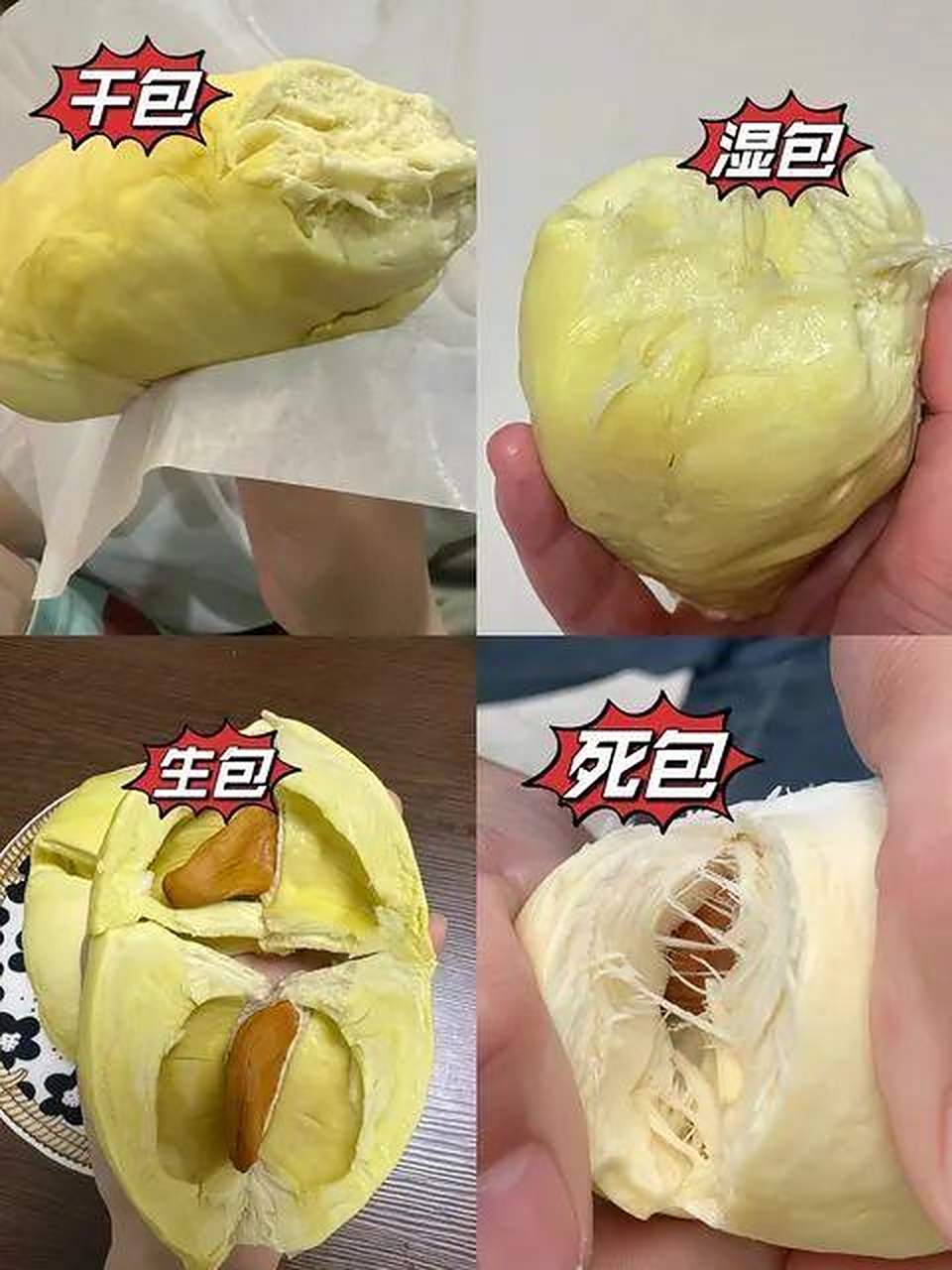 苑冷玉