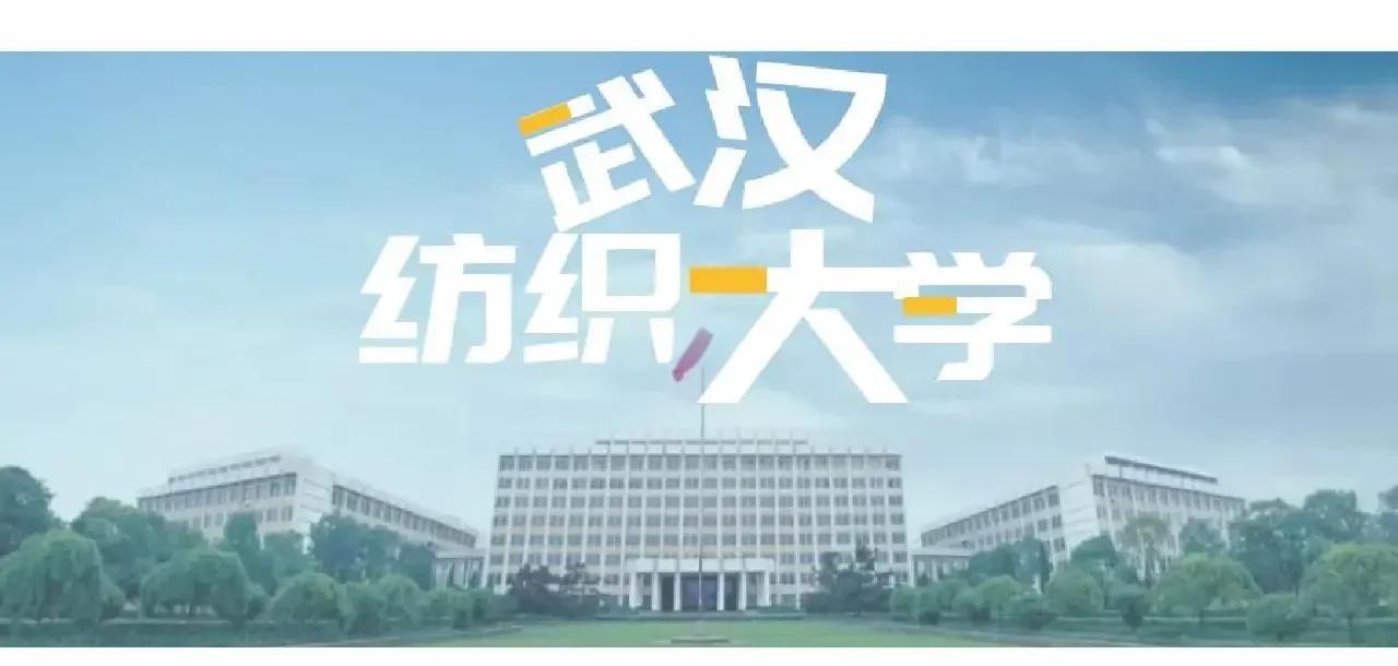 武汉纺织大学是211吗还是985
