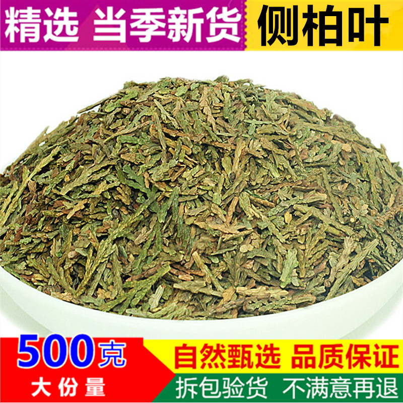 桑叶侧柏叶苦丁茶能治白发吗