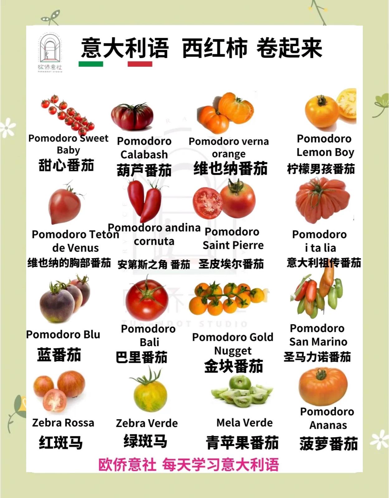 西红柿的介绍20字