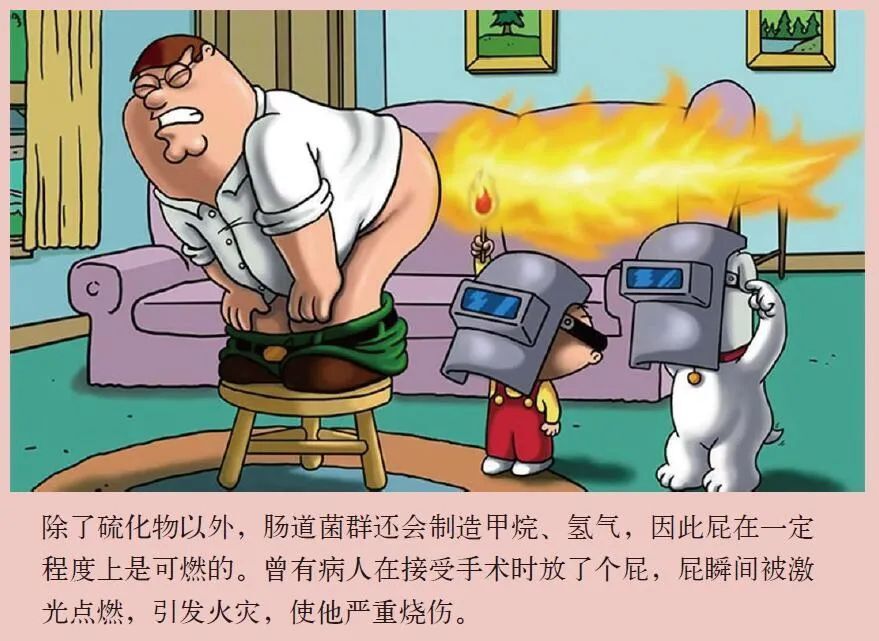屁的化学成分是什么气体