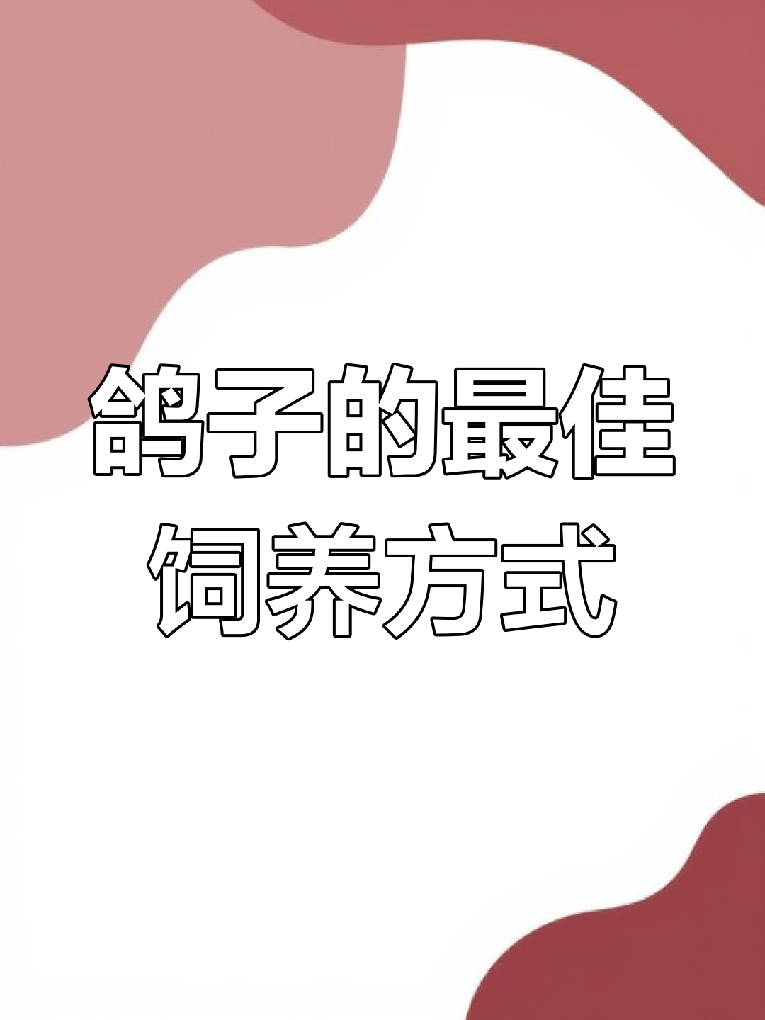 鸽子一直关着养可以吗