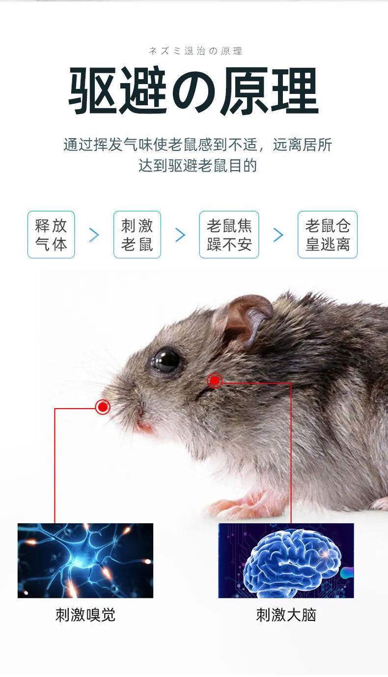 赶走老鼠最有效的方法