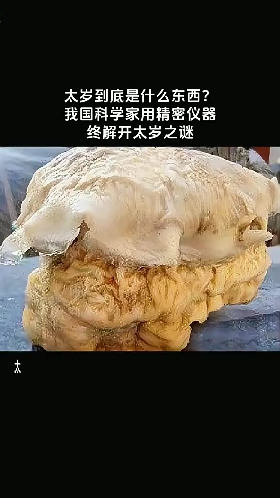 太岁是多大