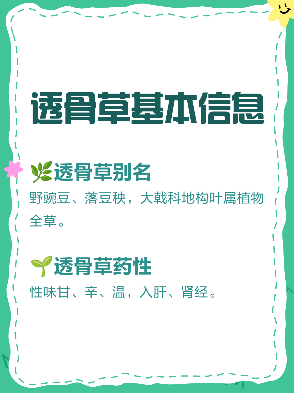 透骨草功效与作用的功效与作用及禁忌症