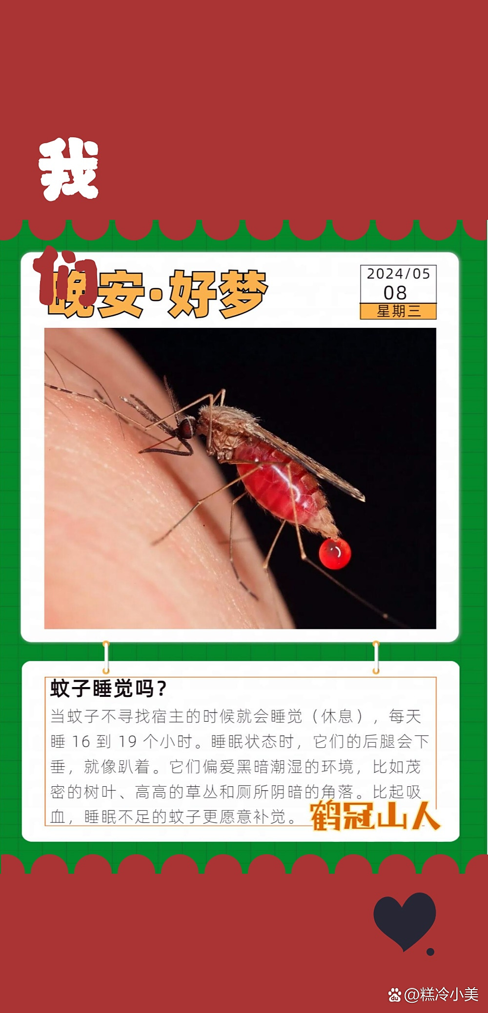 蚊子怎么来的全过程