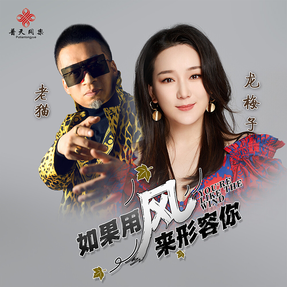 龙梅子100首歌曲