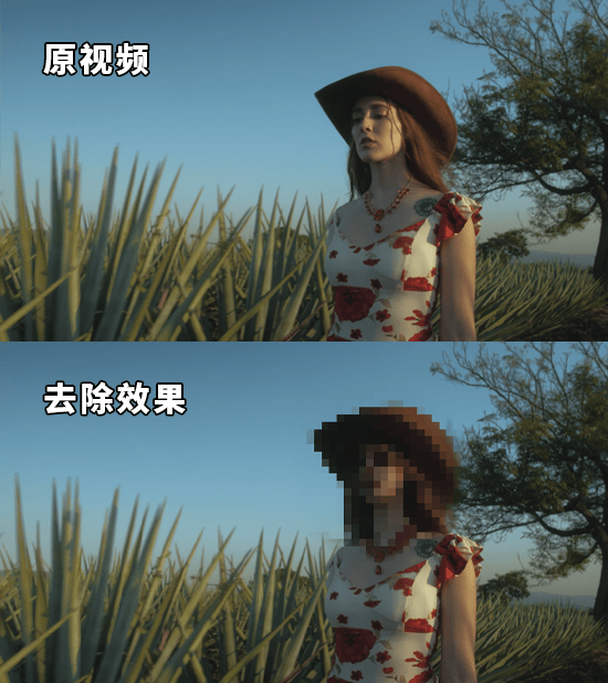 怎样视频打马赛克?