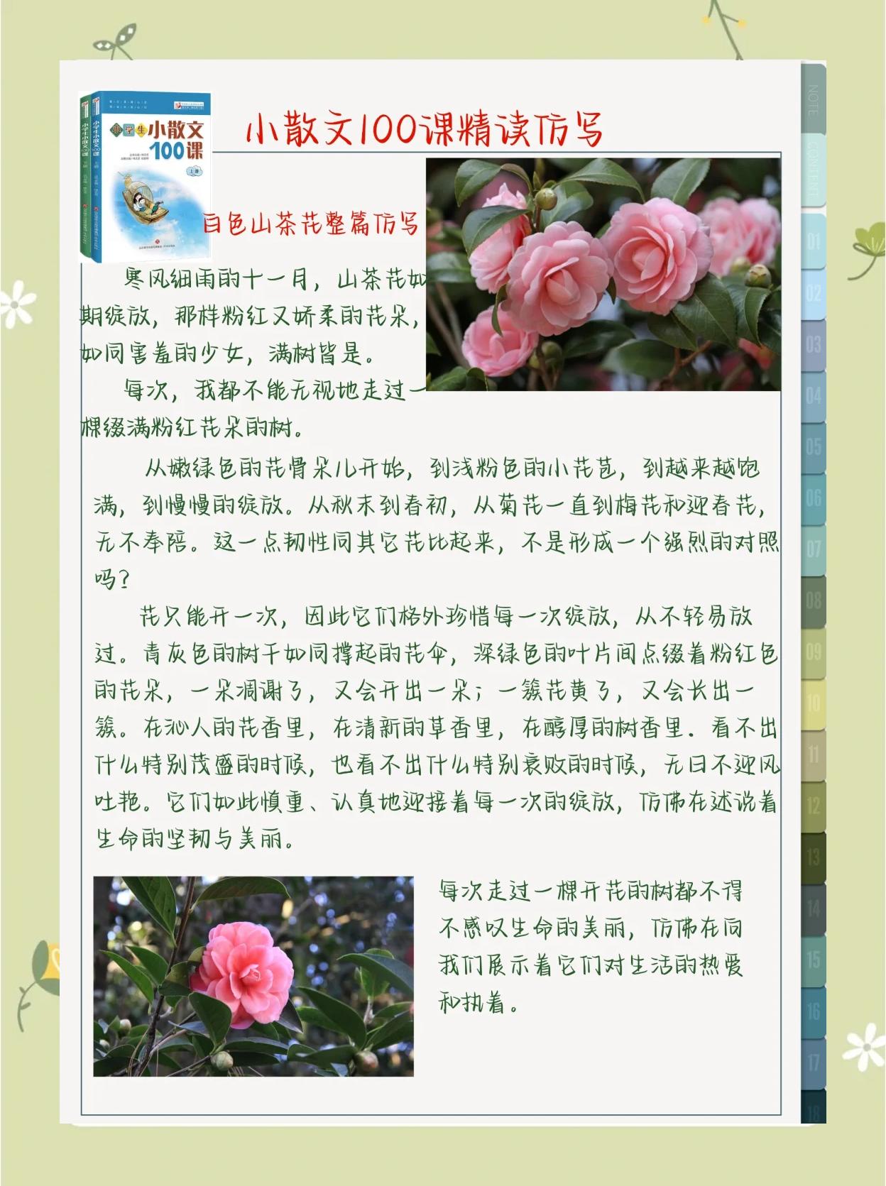 卉怎么读