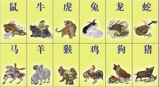 属相相冲就一定不好吗
