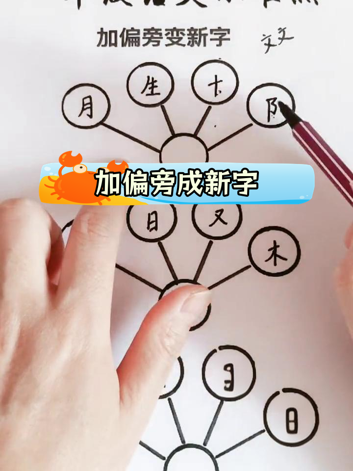 汉字偏旁大全及名称