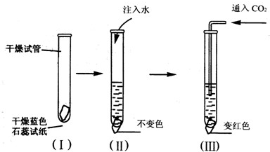 石蕊溶液变色是化学反应吗