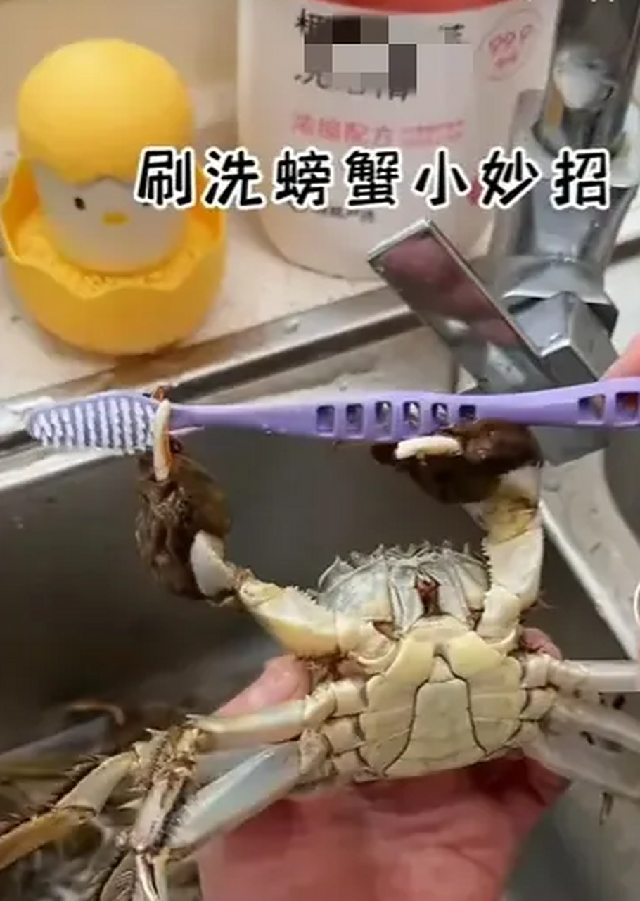洗螃蟹正确方法视频