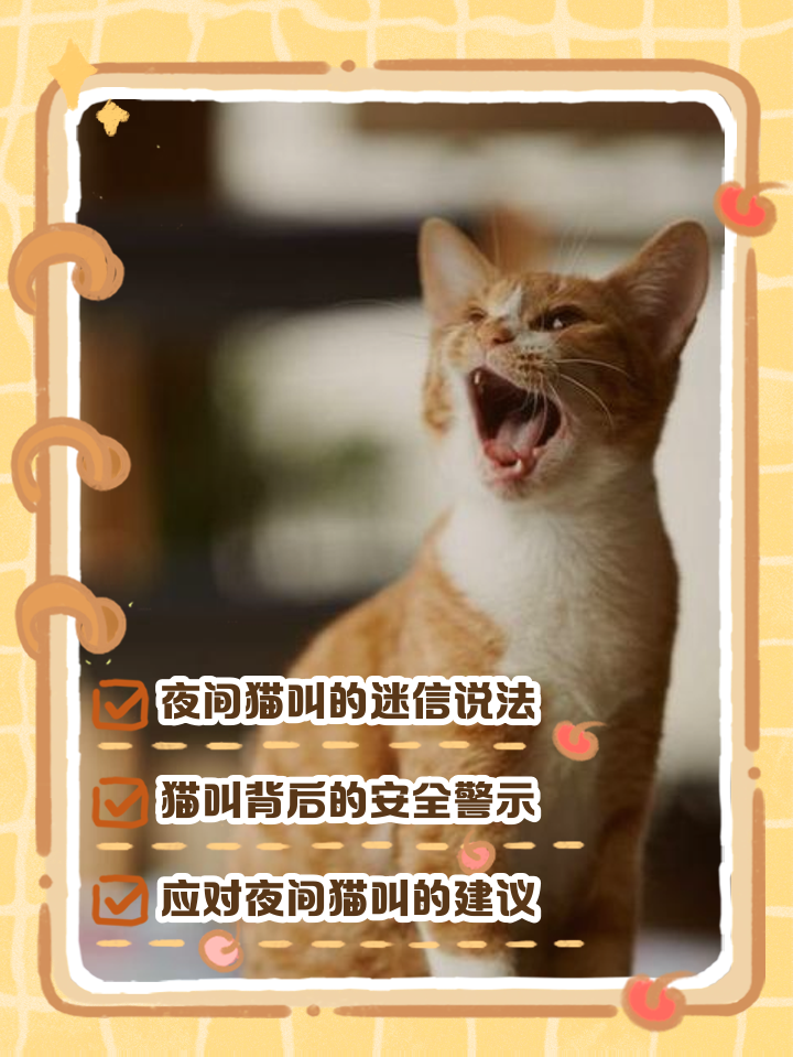 野猫半夜叫有什么办法
