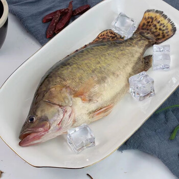 鲫花鱼和鲫鱼区别