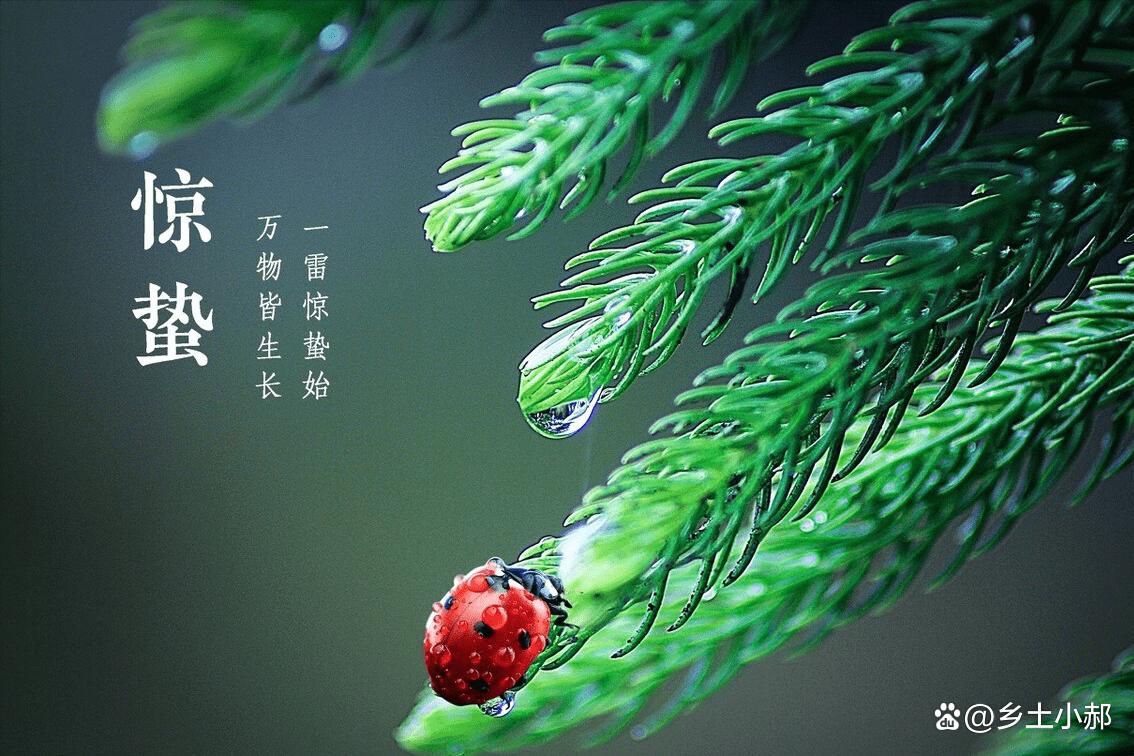 惊蛰什么意思网络语