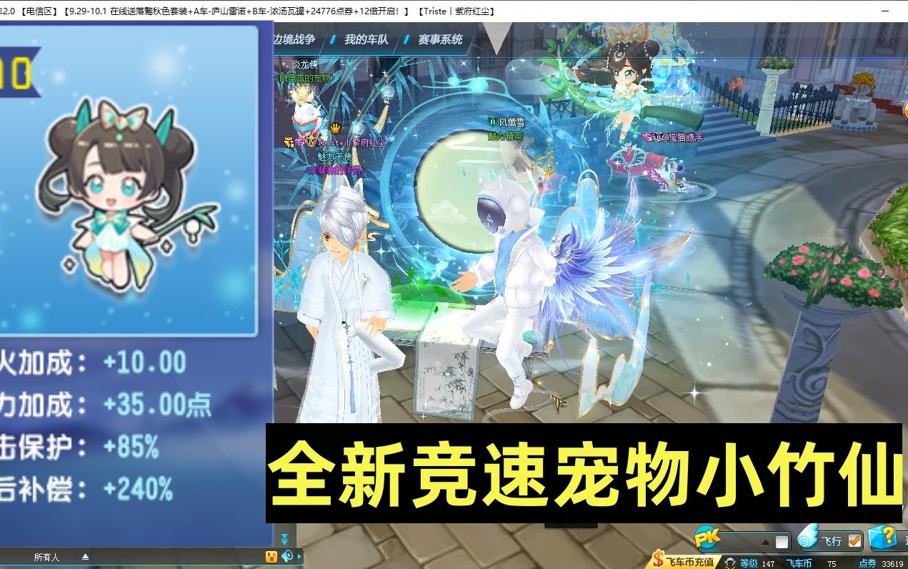 飞车宠物排行端游