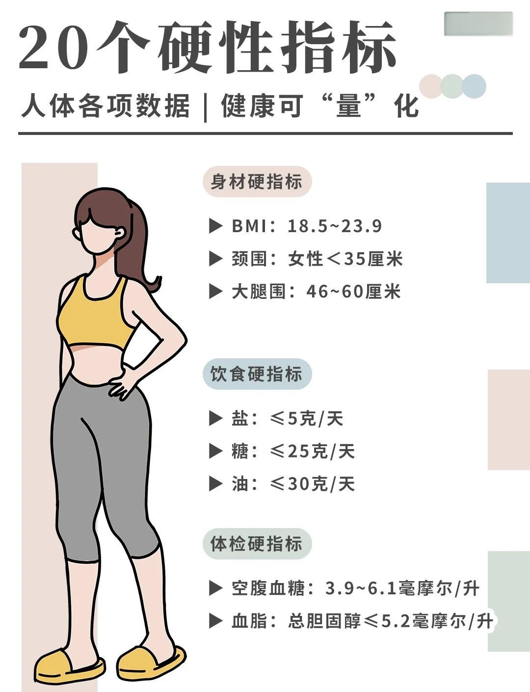 马甲线和人鱼线图片