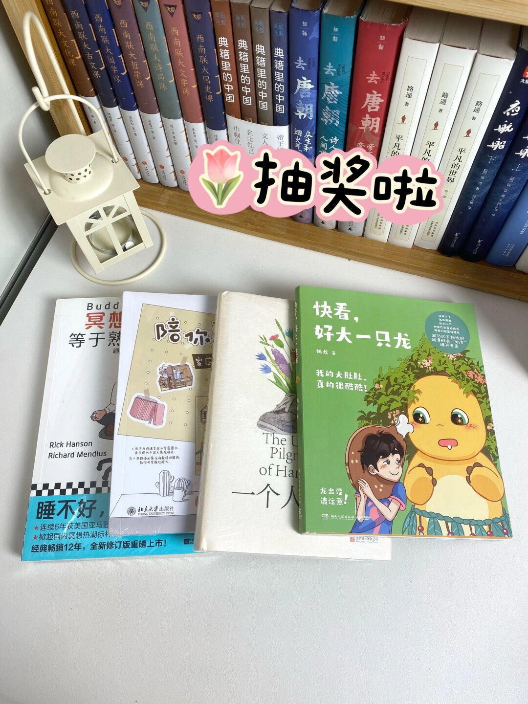 快餐类书籍是什么意思