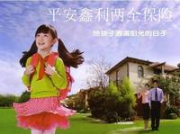 鑫利保险条款
