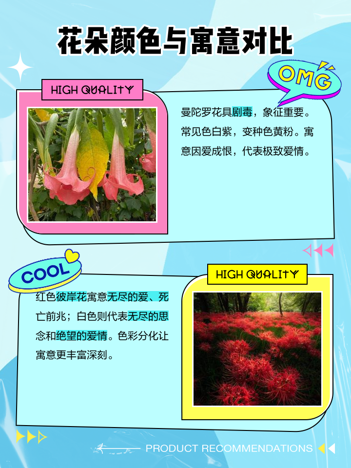 曼珠沙华的寓意和花语