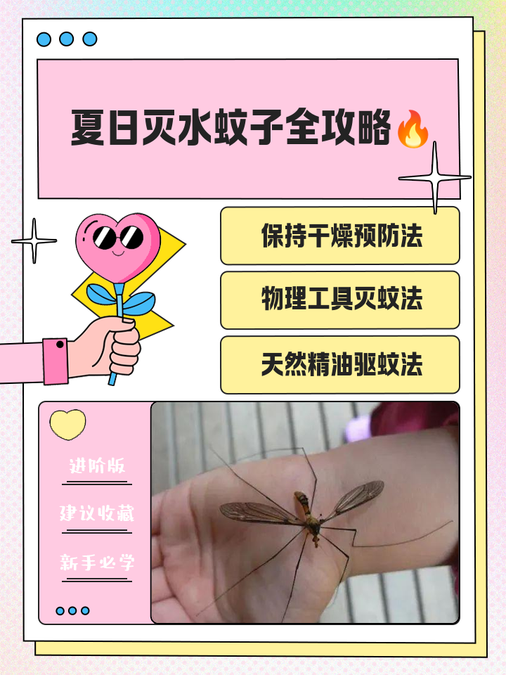 用什么方法灭蚊子最好
