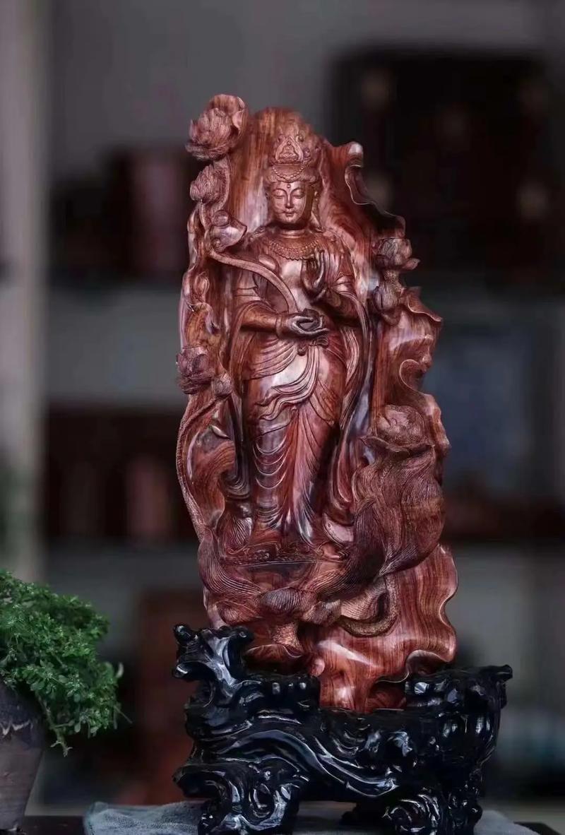 海黄的特征和鉴别方法