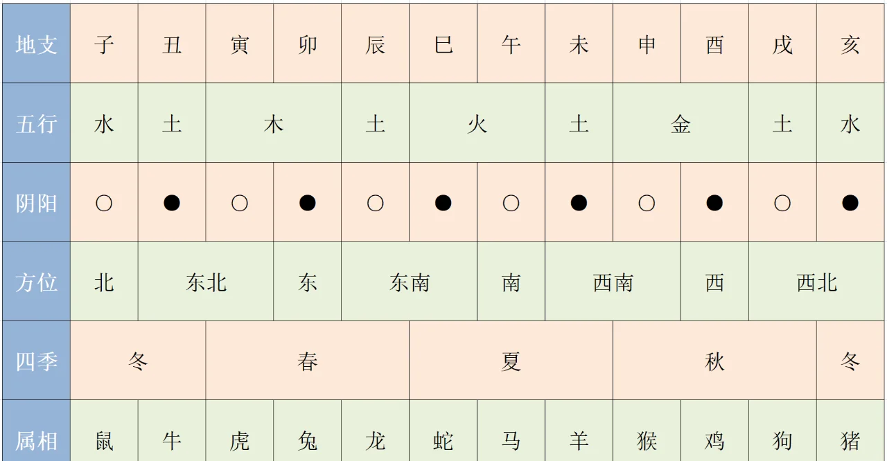 12地支讲解