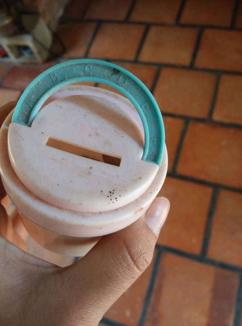 苍蝇的屎是什么样子 图片