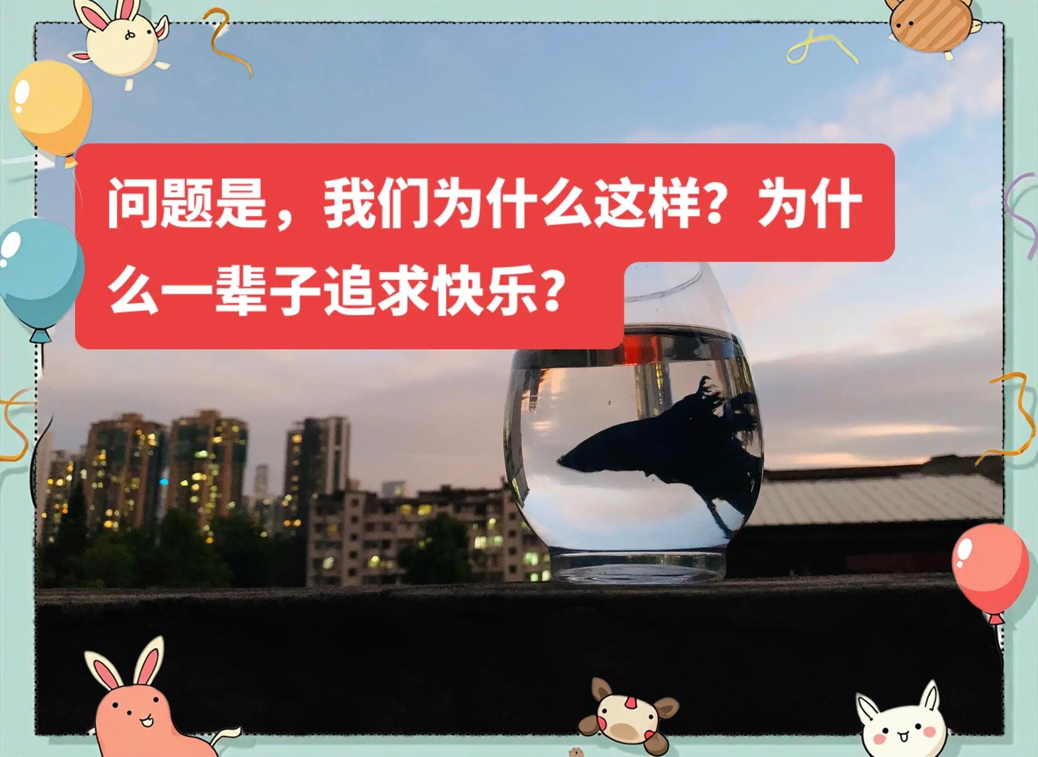 什么是真正的快乐句子