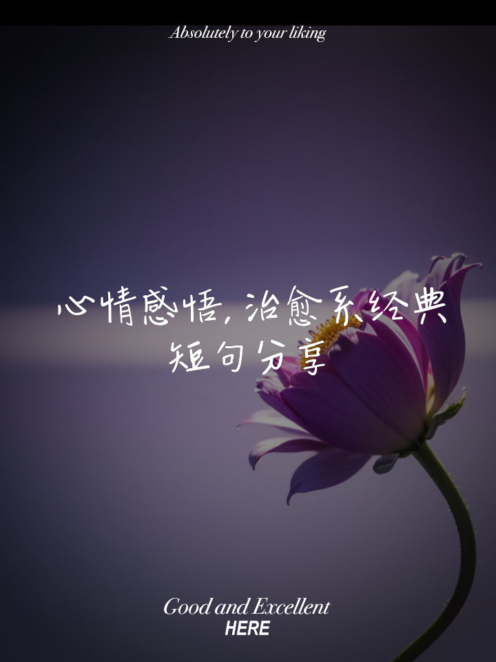 适合发空间的情感说说