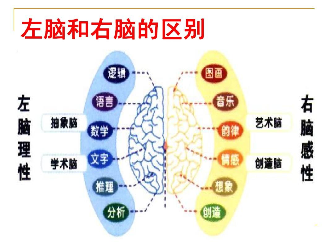 学霸左脑发达还是右脑