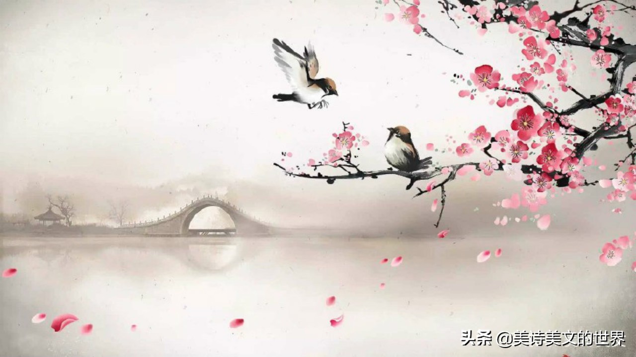 寻花问柳有哪些生肖
