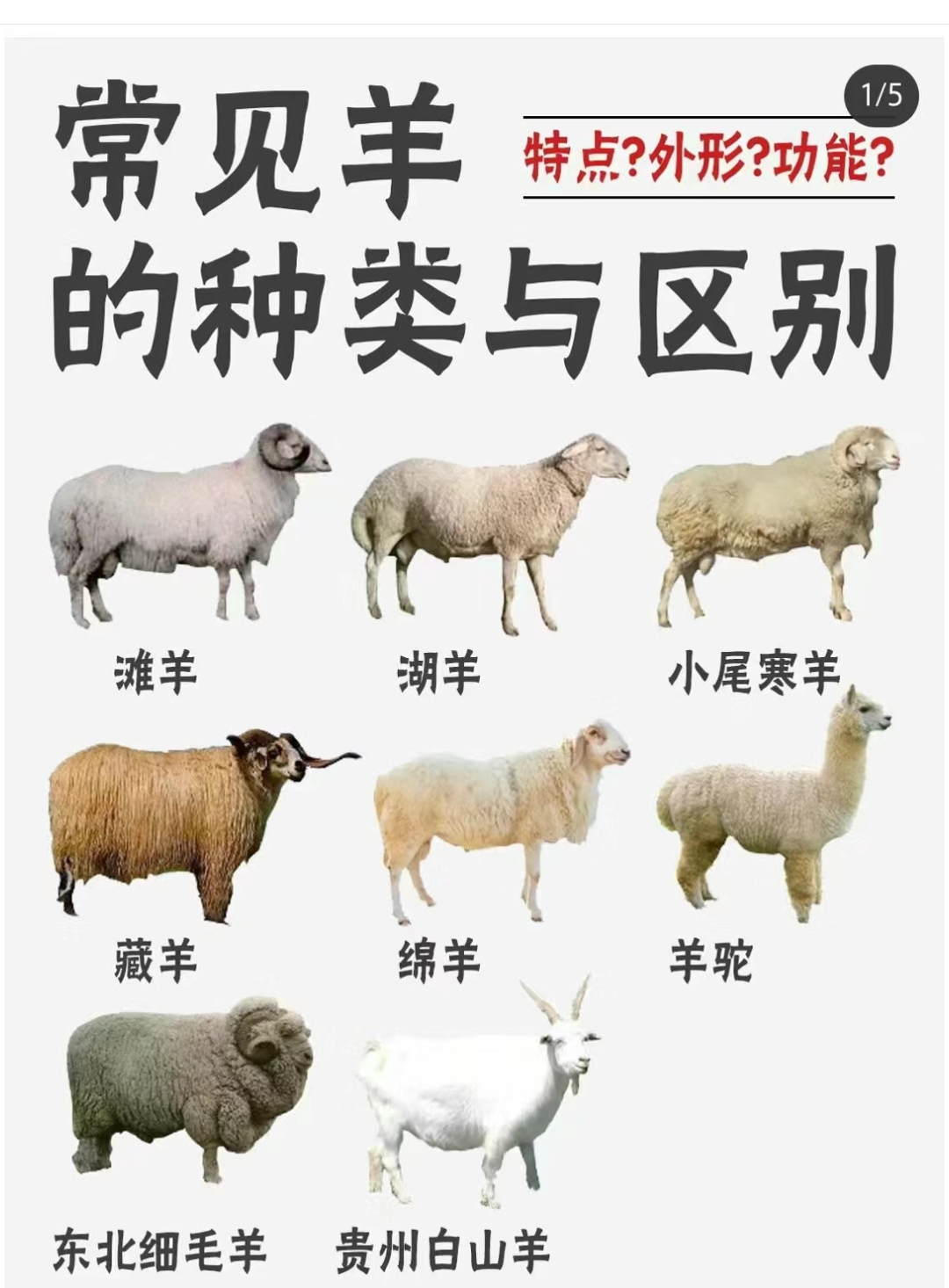 关于动物科学小知识