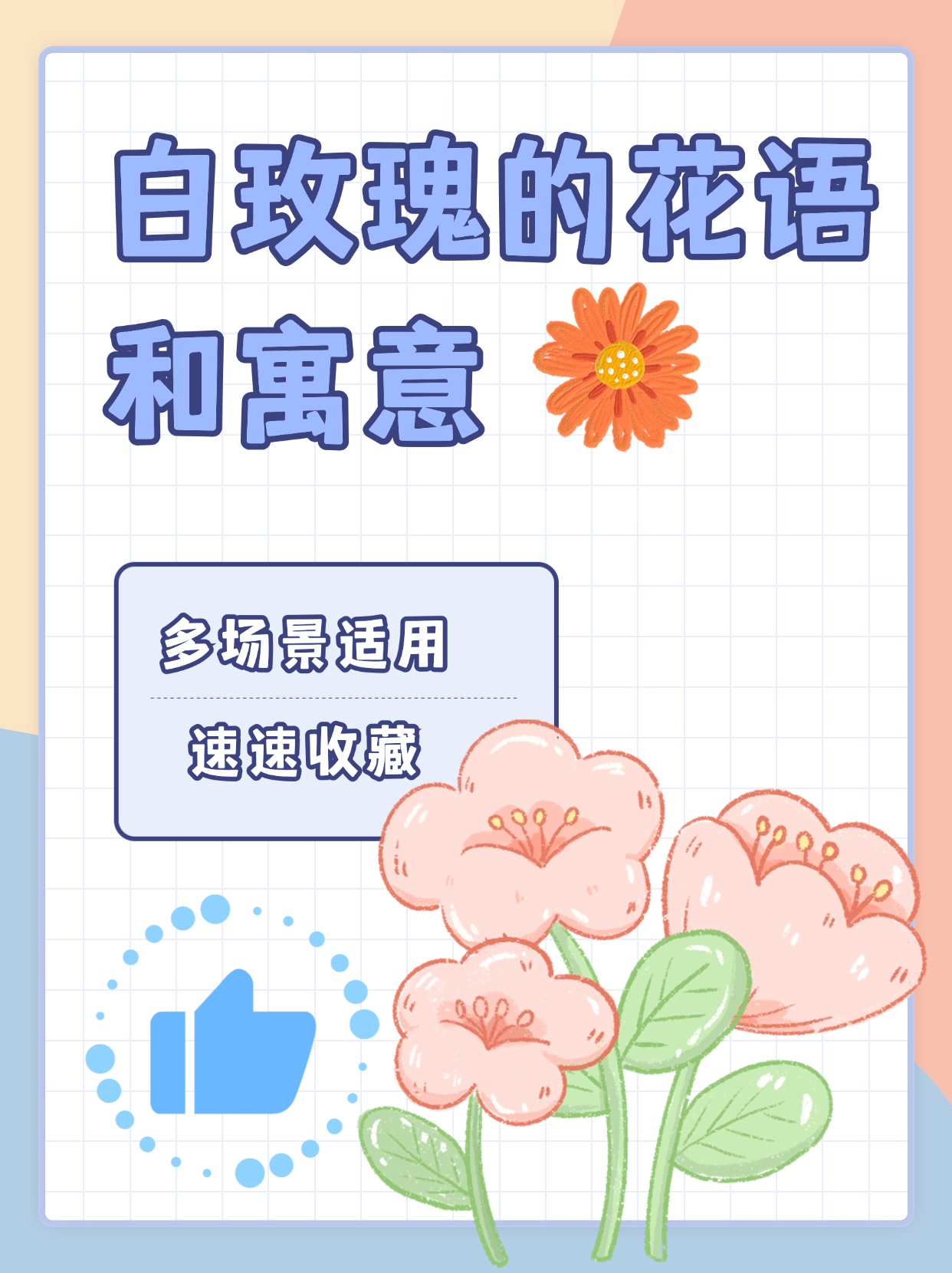 白玫瑰代表的花语是什么