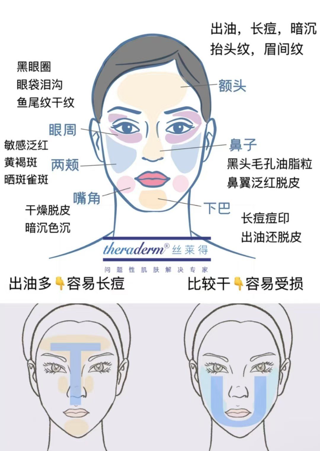 脸部部位名称示意图