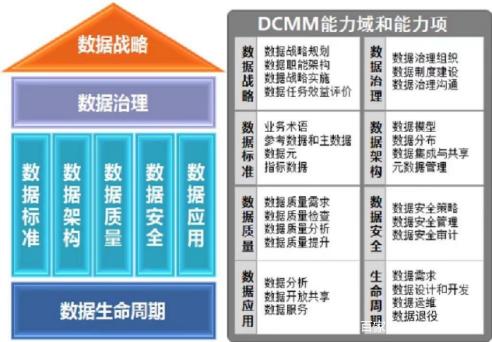 11的简介