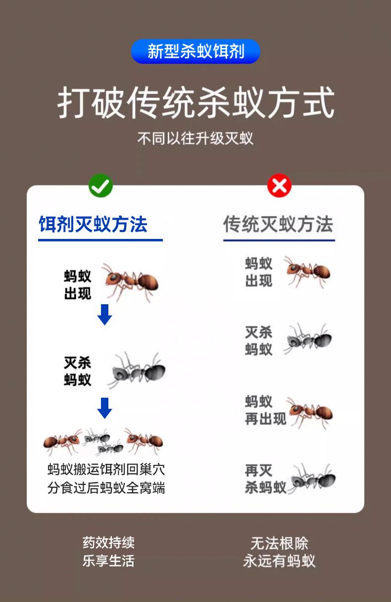 家里的蚂蚁怎么消灭