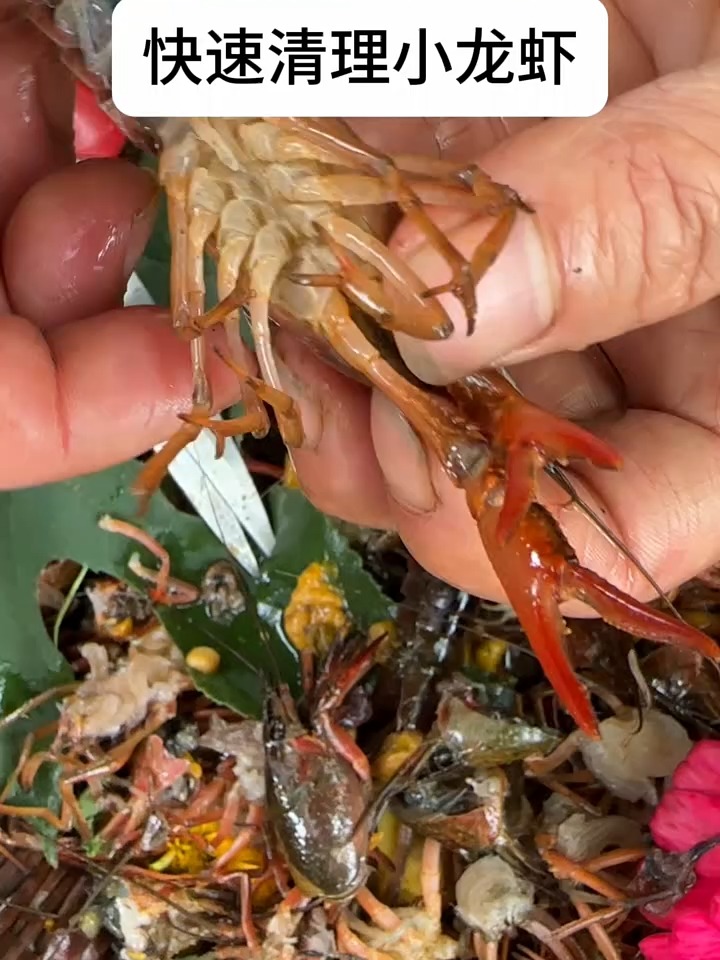 如何清洁小龙虾