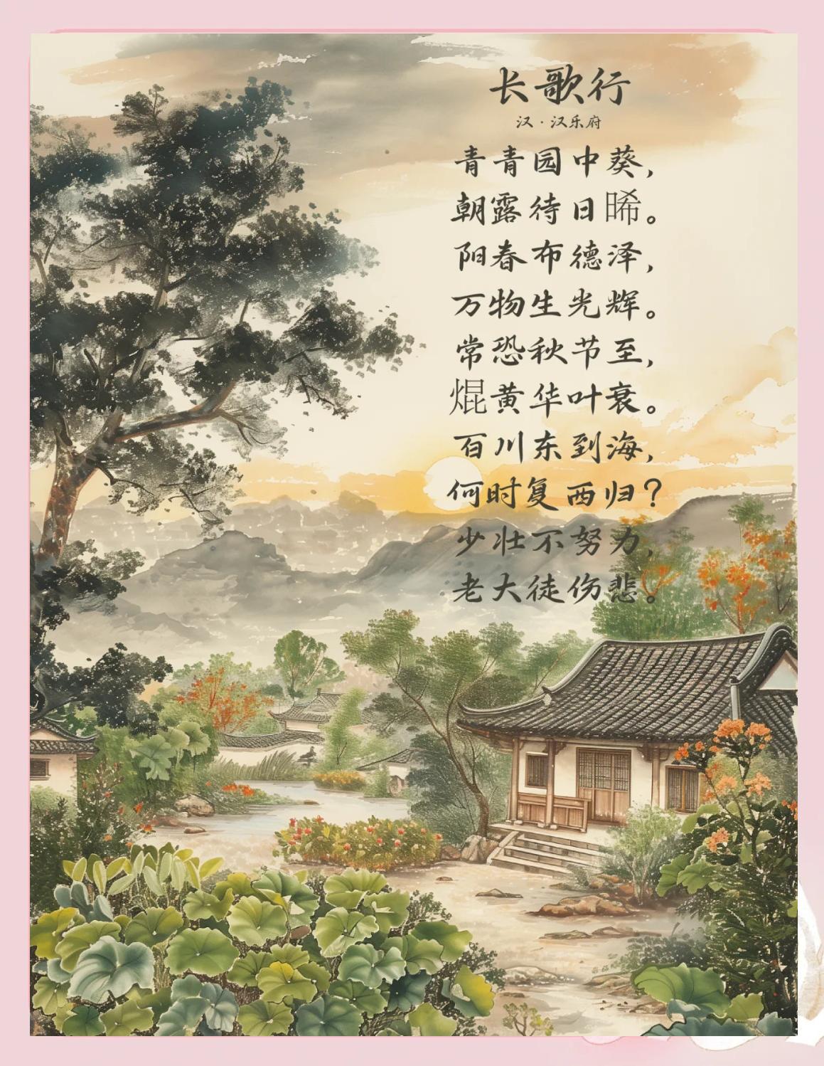 青青园中葵朝露待日晞的解释