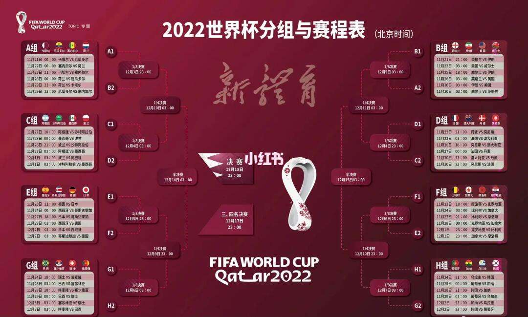 2022世界杯全部战绩图