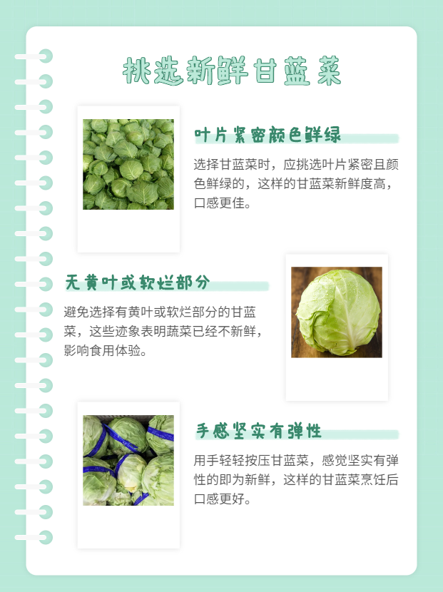 包菜和卷心菜哪个好吃
